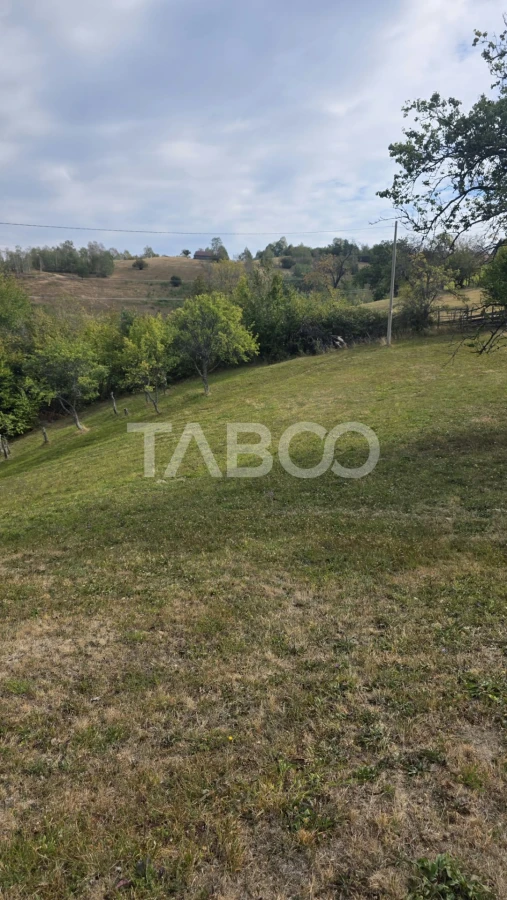 Teren de vanzare 8.300 mp Plesi Loman judetul Alba - 1