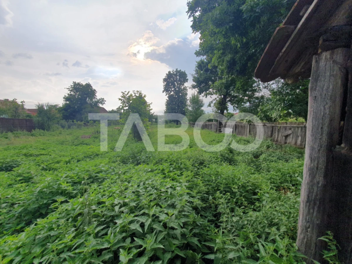 Casa de vanzare in Mandra 140 mp utili curte sura anexe 3 beciuri - 8