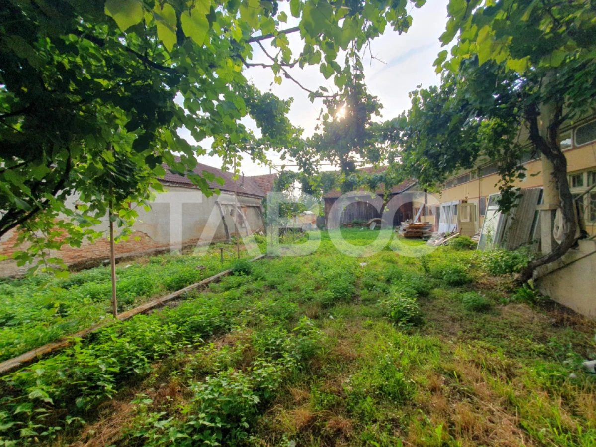 Casa de vanzare in Mandra 140 mp utili curte sura anexe 3 beciuri - 7