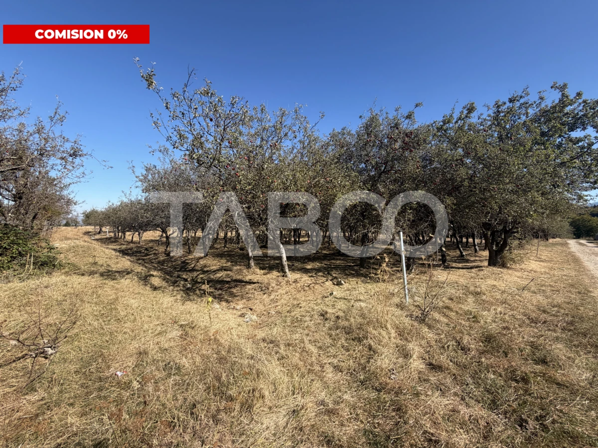 Teren intravilan 750 mp front stradal 17 m Statiunea Climaterica - 1