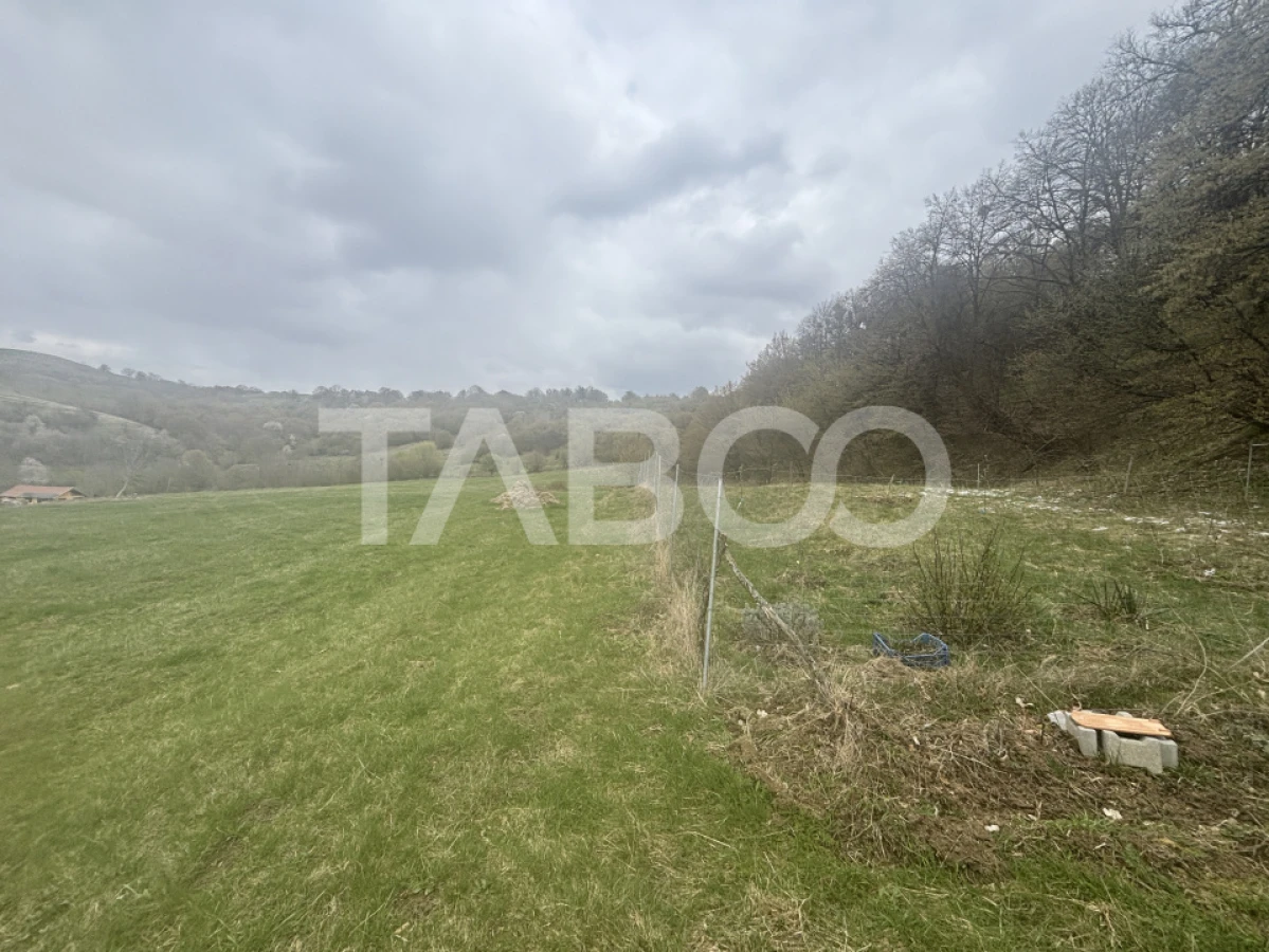 Teren de vanzare langa padure 15600 mp in Hamba Sibiu - 2