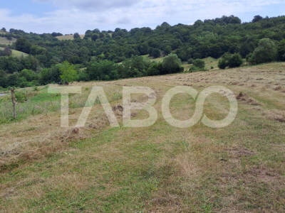 Teren de vanzare langa padure 15600 mp in Hamba Sibiu