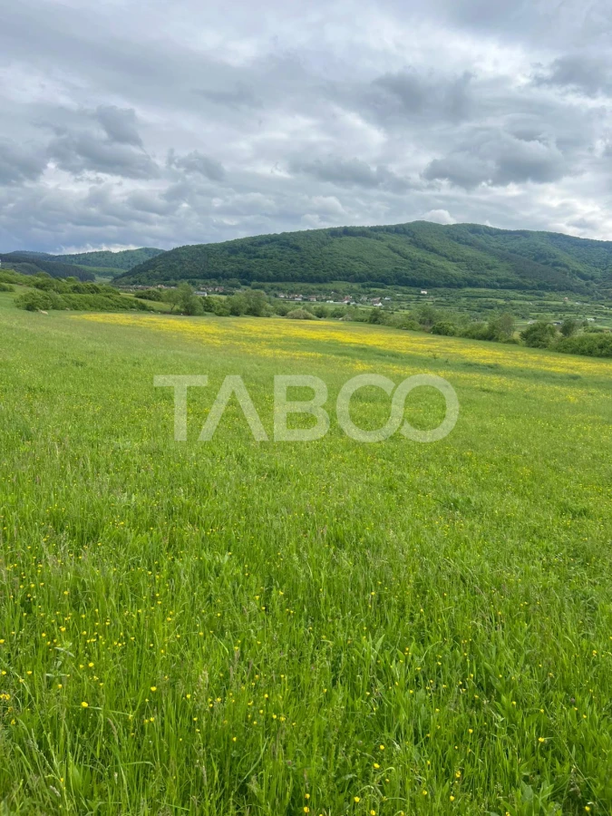 OPORTUNITATE INVESTITIE Teren extravilan 3600 mp Poplaca - 3