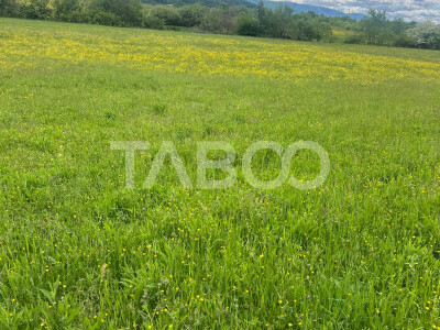 OPORTUNITATE INVESTITIE Teren extravilan 3600 mp Poplaca