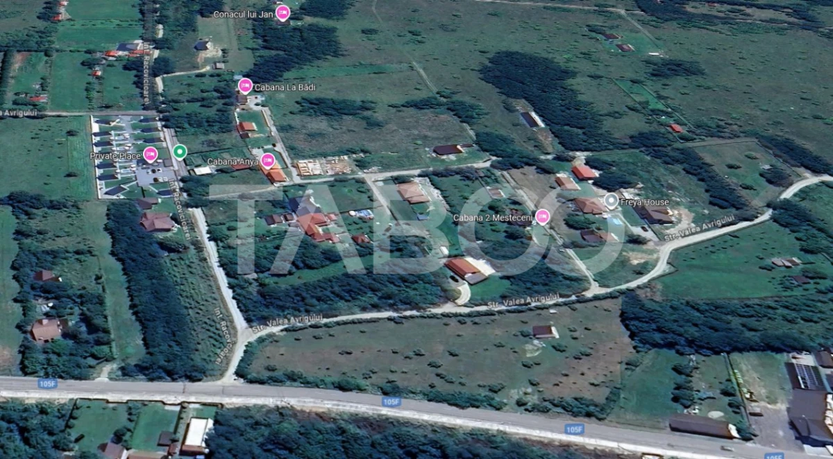 Teren intravilan 2050m acces auto zona turistica Valea Avrigului - 3