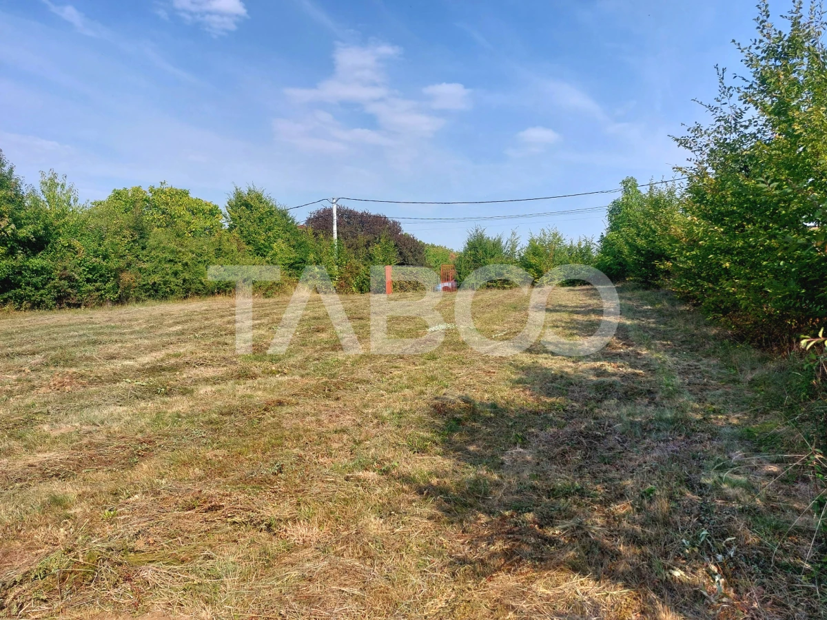 Teren intravilan 2079mp 2 fronturi PUZ curent apa langa parcela Tocile - 6