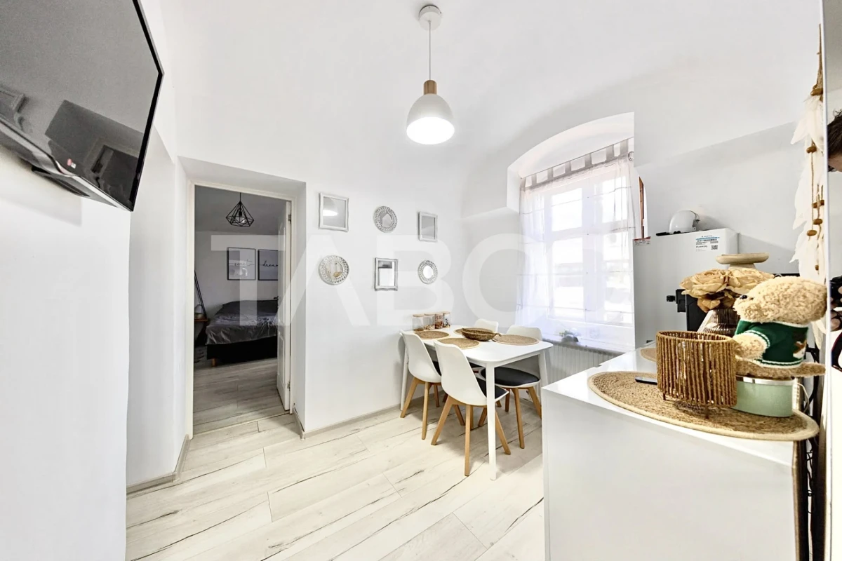 Apartament cu 2 camere modern in Centru la casa cu curte zona Platinia - 4