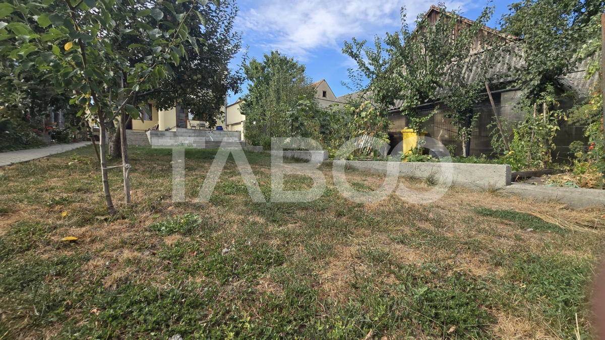Casa cu piscina 5 camere 3 bai de vanzare in Turnisor Sibiu - 6