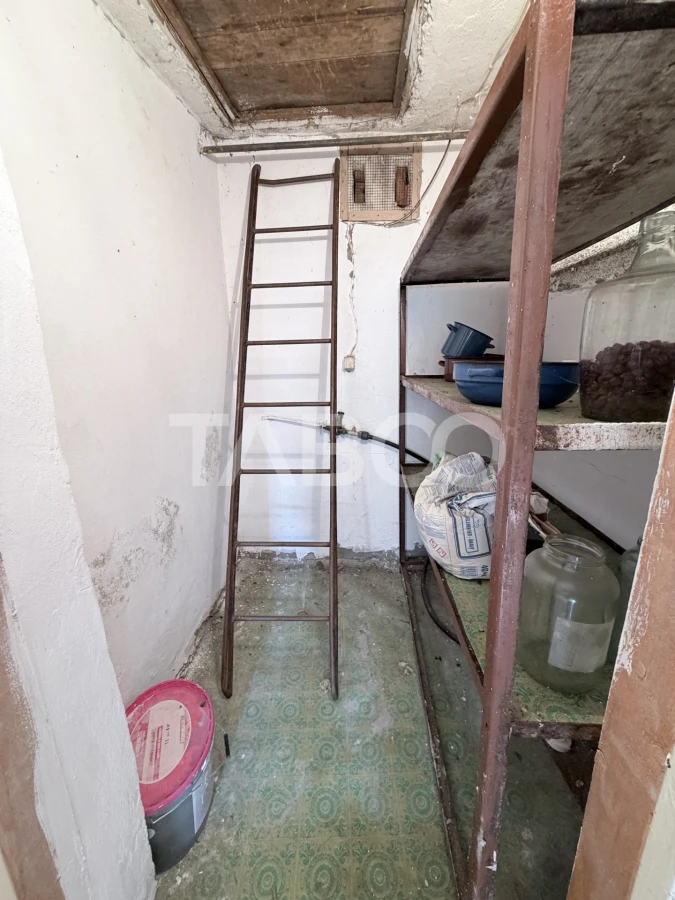 Casa individuala 500 mp teren cu acces auto in curte in Sura Mare - 10