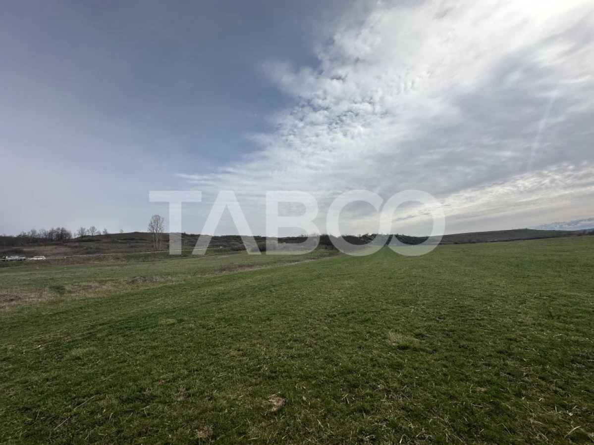 Teren 23.486 mp, deschidere 80 m, ideal comercial/industrial - 2
