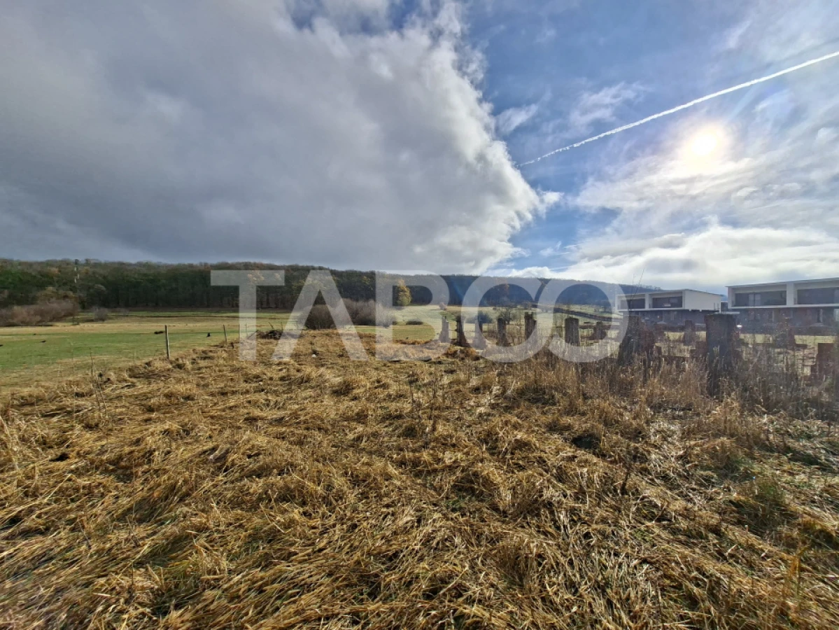 Teren intravilan de vanzare in Rasinari zona Calinis - 890 mp - 6