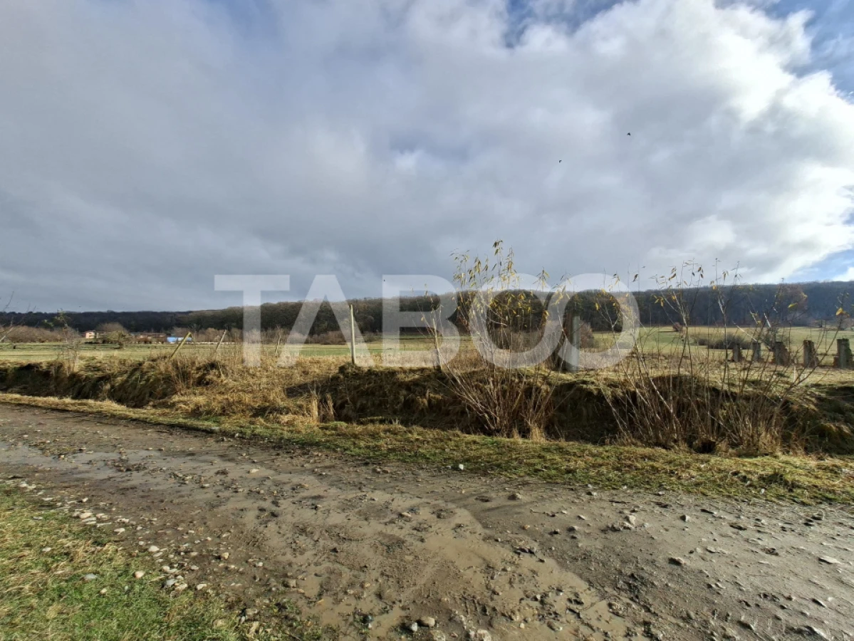 Teren intravilan de vanzare in Rasinari zona Calinis - 890 mp - 5