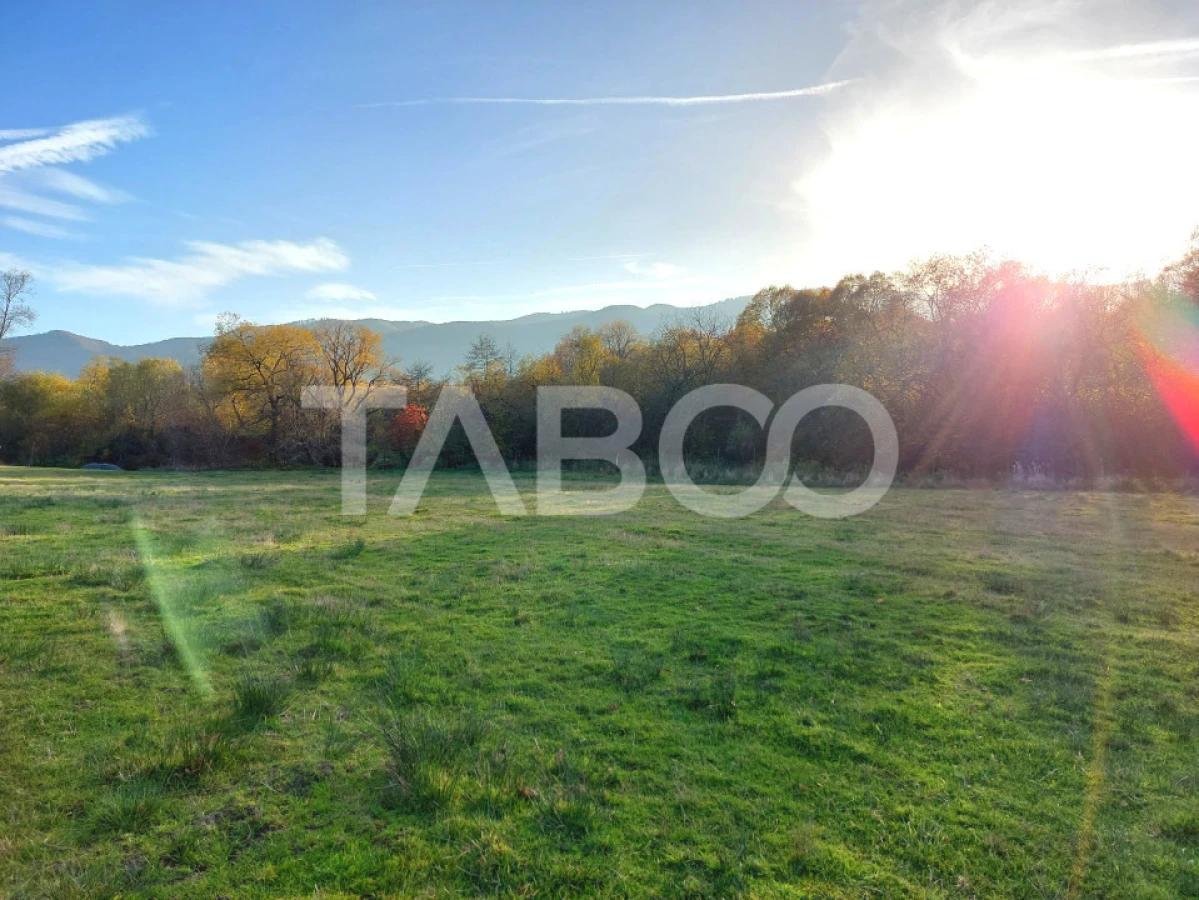 Teren de vanzare 17.000 mp in vecinatatea padurii Dumbrava - 2