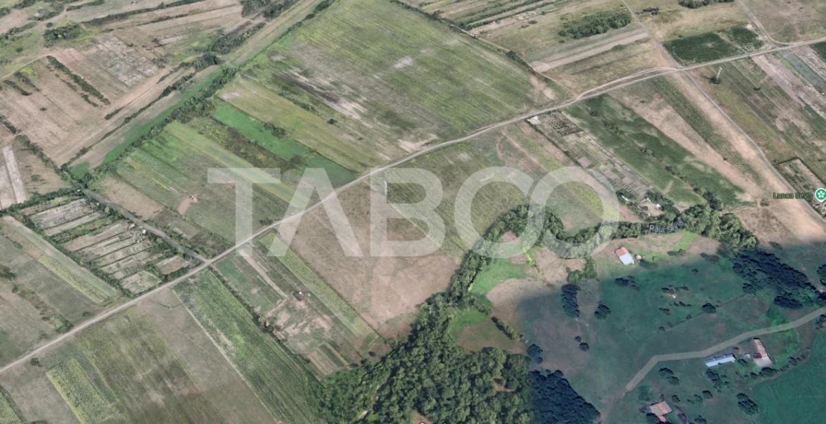 Teren de vanzare 17.000 mp in vecinatatea padurii Dumbrava - 1