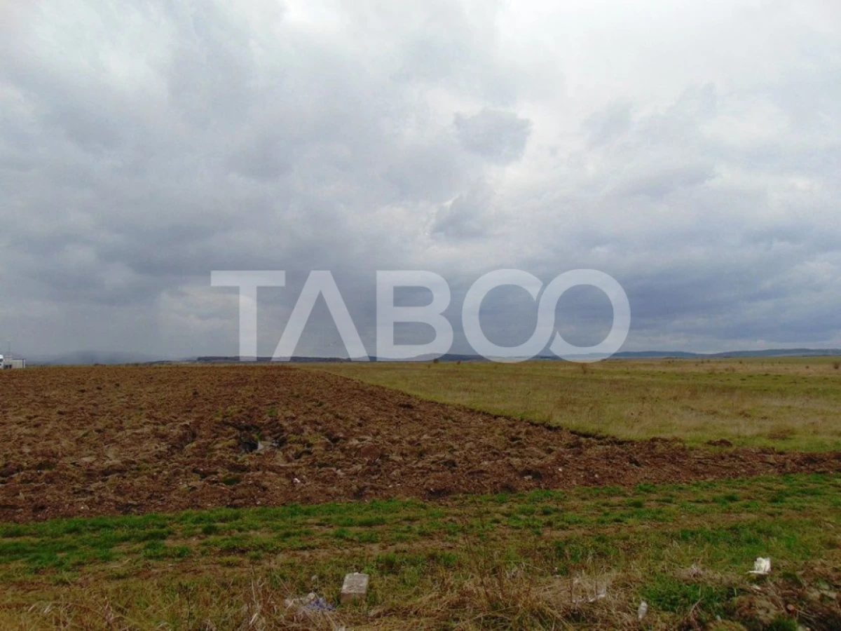 Teren intravilan 2 ha deschidere drum zona Industriala Vest Sibiu - 4