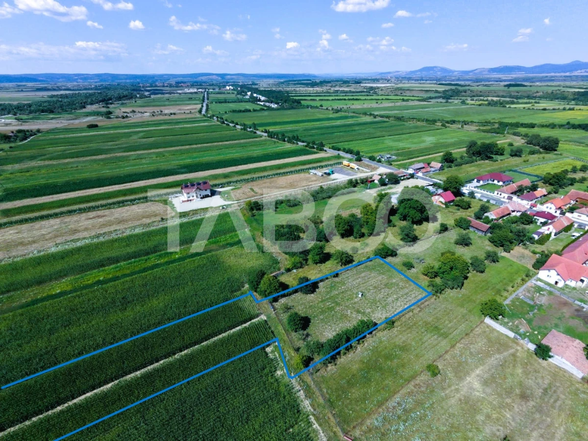 Teren intravilan 2000 mp si extravilan 1150 mp de vanzare in Vad - 2