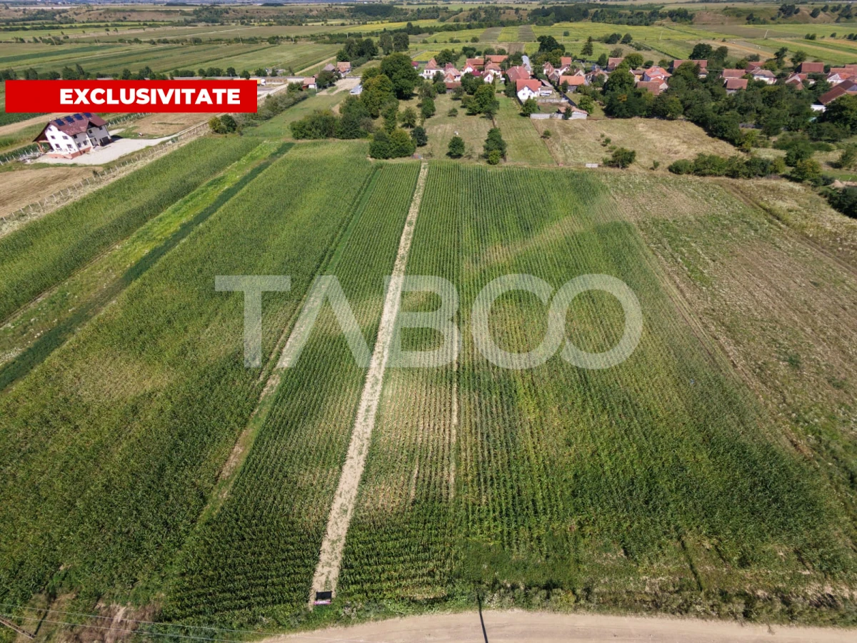 Teren intravilan 2000 mp si extravilan 1150 mp de vanzare in Vad - 1