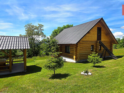 Cabane cu 7 camere de vanzare in Albac