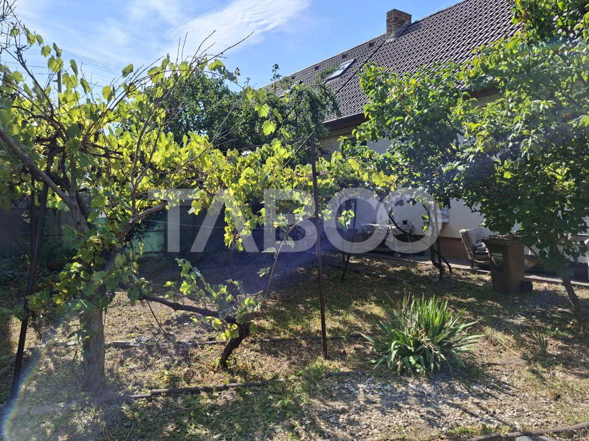 Casa cu 335 mp teren in zona Parcul Tineretului - 8