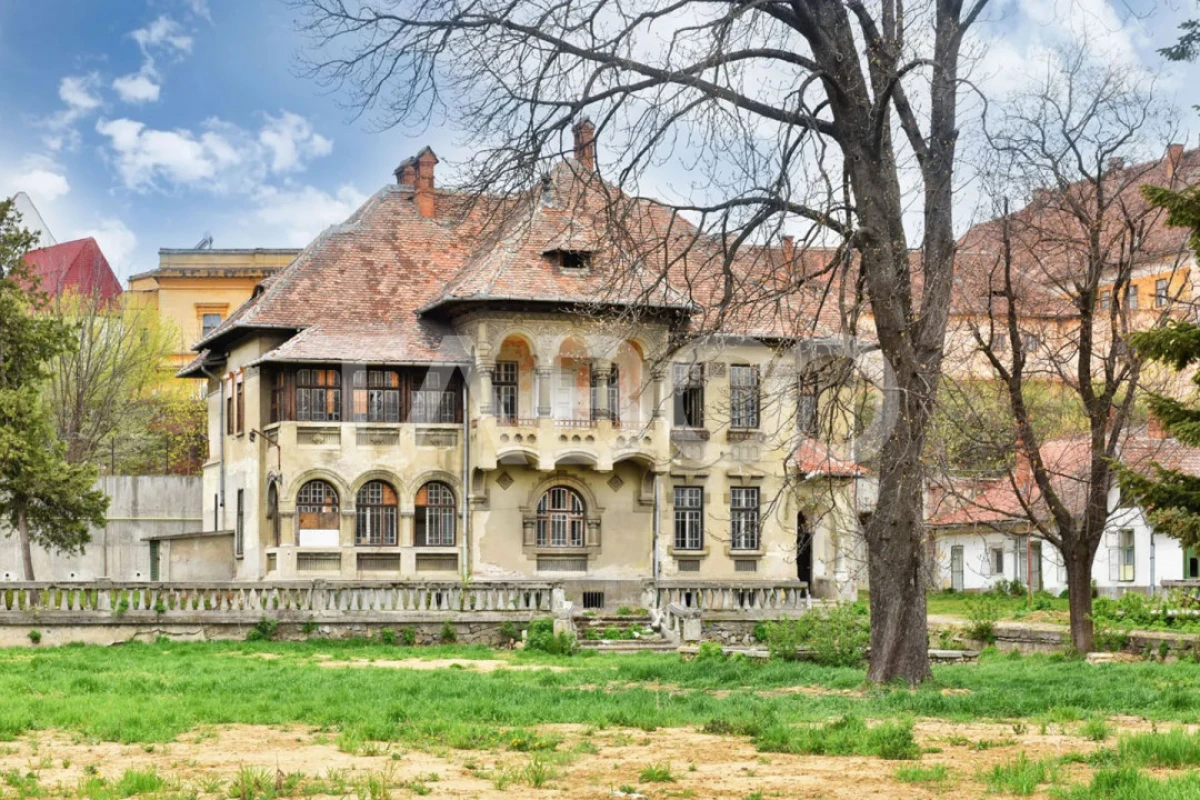 Vila interbelica isi asteapta cu speranta tacuta noul proprietar - 4