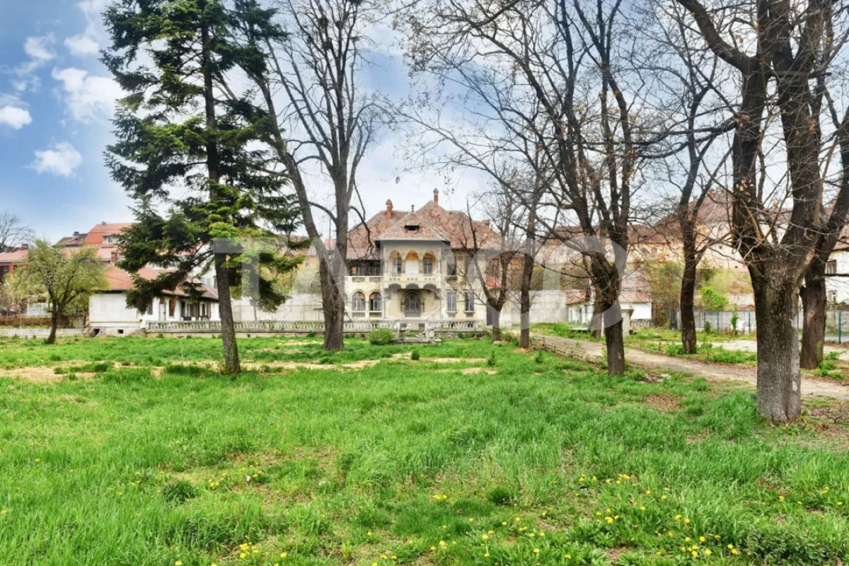 Vila interbelica isi asteapta cu speranta tacuta noul proprietar - 2