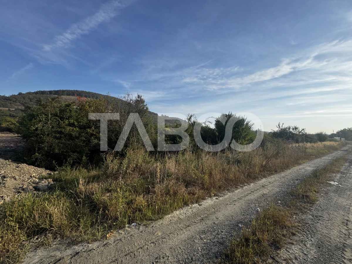 Teren extravilan 6700 mp intre DN si autostrada iesire Cristian Sibiu - 3