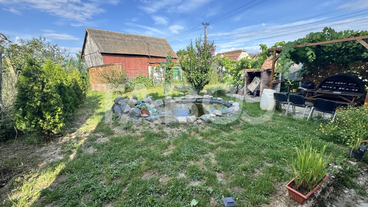 Casa individuala de vanzare cu 3 camere 500 mp teren Cornatel Sibiu - 6