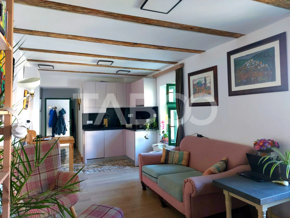 Casa de vanzare 3 camere 2 bucatarii 3 bai teren 340 mp Cisnadie - 2