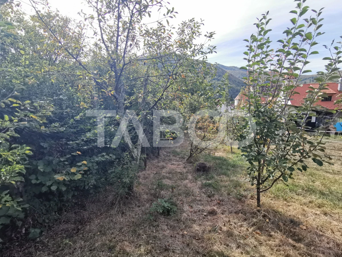 Casa individuala cu 3 camere in localitatea Cisnadioara din Sibiu - 8