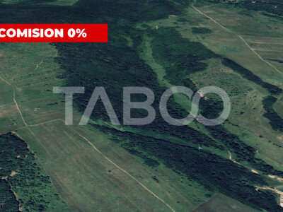 Padure de vanzare 127.000mp langa Mag in judetul Sibiu
