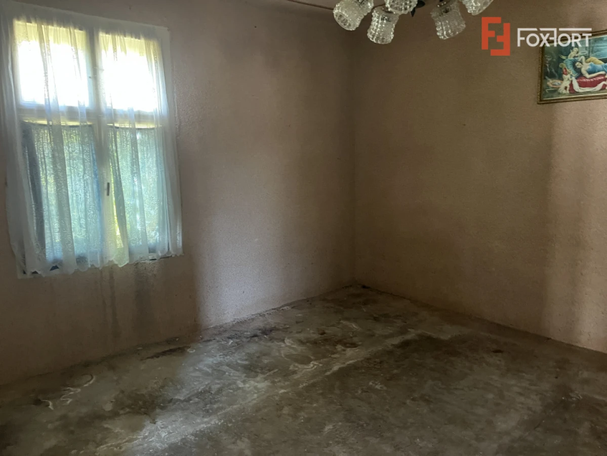 COMISION 0 % Paru - Lugoj, Casa cu 8 camere, teren 1150 mp - 5